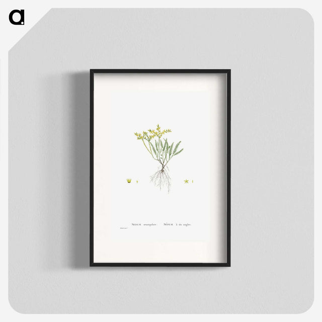 2-42_Histoire-des-Plantes-Grasses_blk