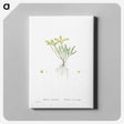 2-42_Histoire-des-Plantes-Grasses_canvas