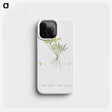 2-42_Histoire-des-Plantes-Grasses_phone