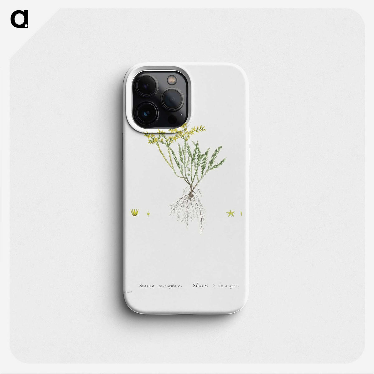 2-42_Histoire-des-Plantes-Grasses_phone