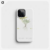 2-42_Histoire-des-Plantes-Grasses_phone