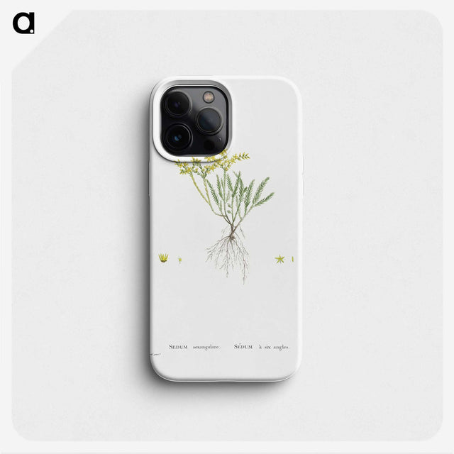 2-42_Histoire-des-Plantes-Grasses_phone