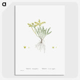 2-42_Histoire-des-Plantes-Grasses_picture-crop