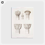 アートポストカード-Capitals of Edfu and Philae
 - エジプト美術史 Postcard.