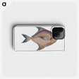 2-42_Ichtyologie-ou-Histoire-naturelle_phone