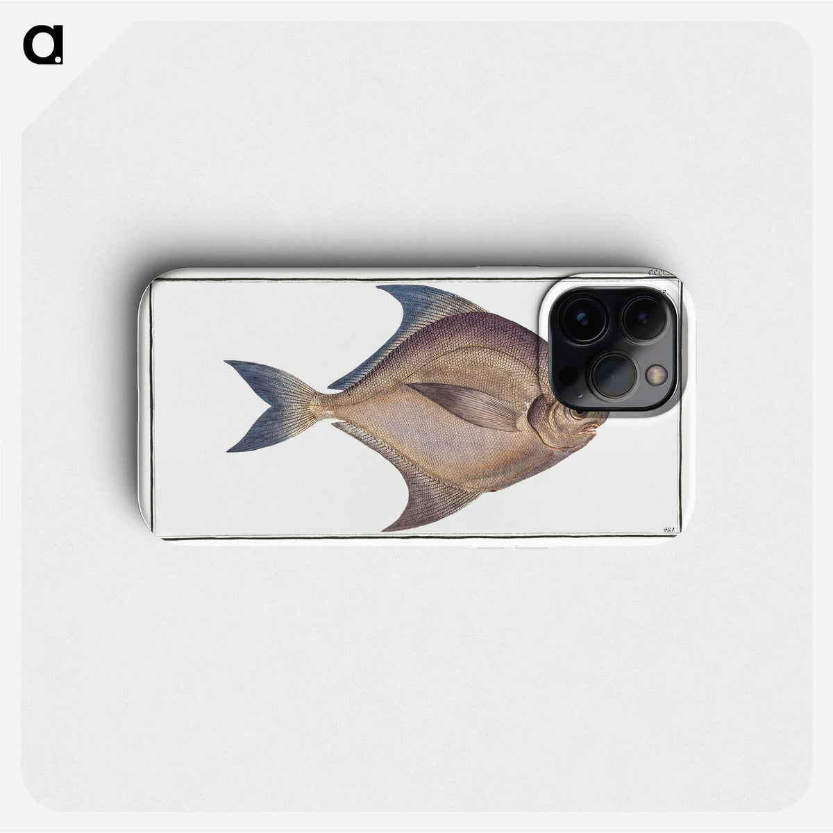 2-42_Ichtyologie-ou-Histoire-naturelle_phone