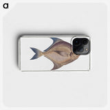 2-42_Ichtyologie-ou-Histoire-naturelle_phone