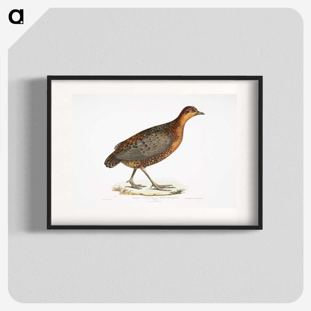 2-42_Indian-Zoology_blk