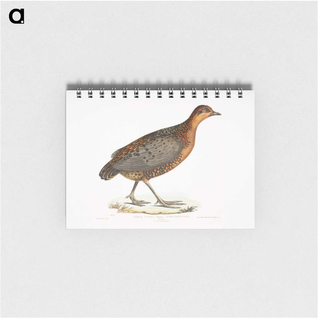 2-42_Indian-Zoology_memo
