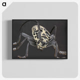 2-42_Insects-Unlocked-Project_blk-crop