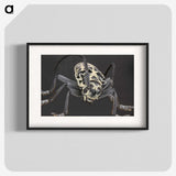 2-42_Insects-Unlocked-Project_blk