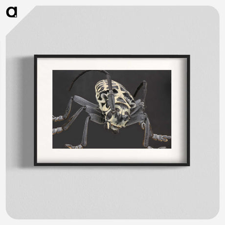 2-42_Insects-Unlocked-Project_blk