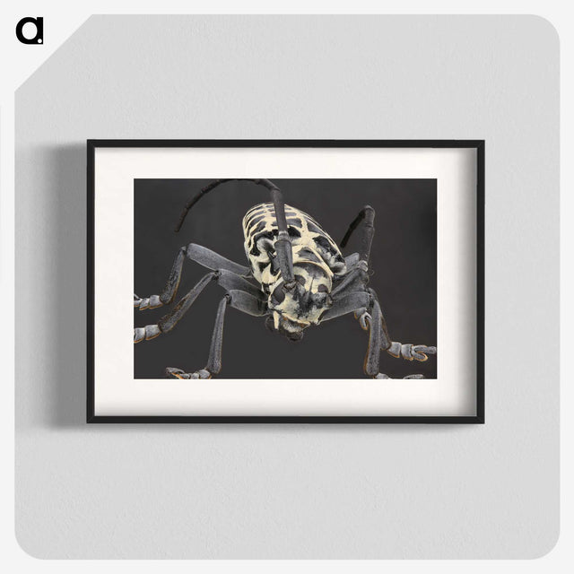 2-42_Insects-Unlocked-Project_blk