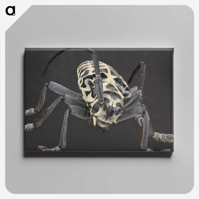 2-42_Insects-Unlocked-Project_canvas
