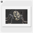 2-42_Insects-Unlocked-Project_picture