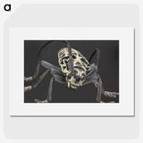2-42_Insects-Unlocked-Project_picture
