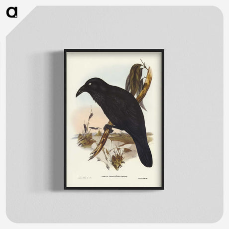 2-42_John-Gould_blk-crop