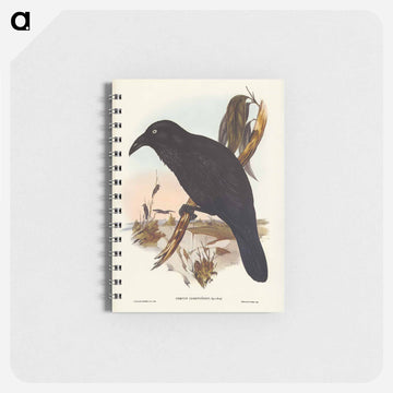 White-eyed Crow
 - ジョン グールド Memo.