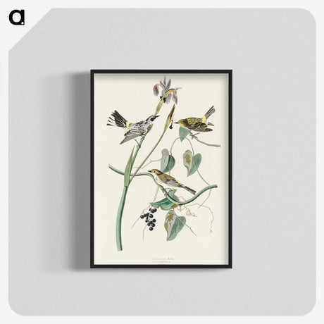 2-42_John-James-Audubon_blk-crop