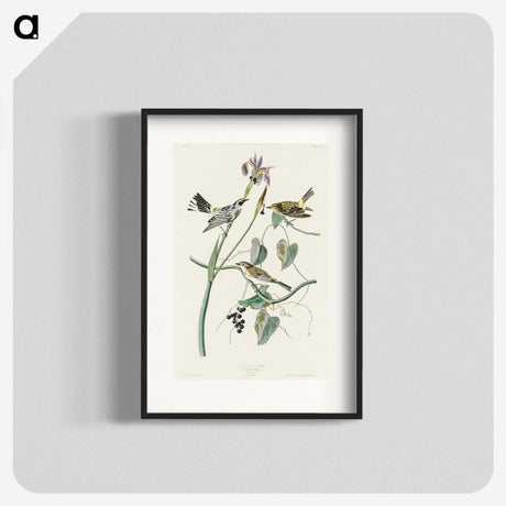 2-42_John-James-Audubon_blk