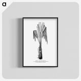 2-42_Les-Palmiers-Histoire-Iconographique_blk-crop