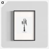 2-42_Les-Palmiers-Histoire-Iconographique_blk