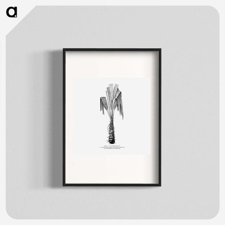 2-42_Les-Palmiers-Histoire-Iconographique_blk