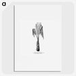 2-42_Les-Palmiers-Histoire-Iconographique_picture