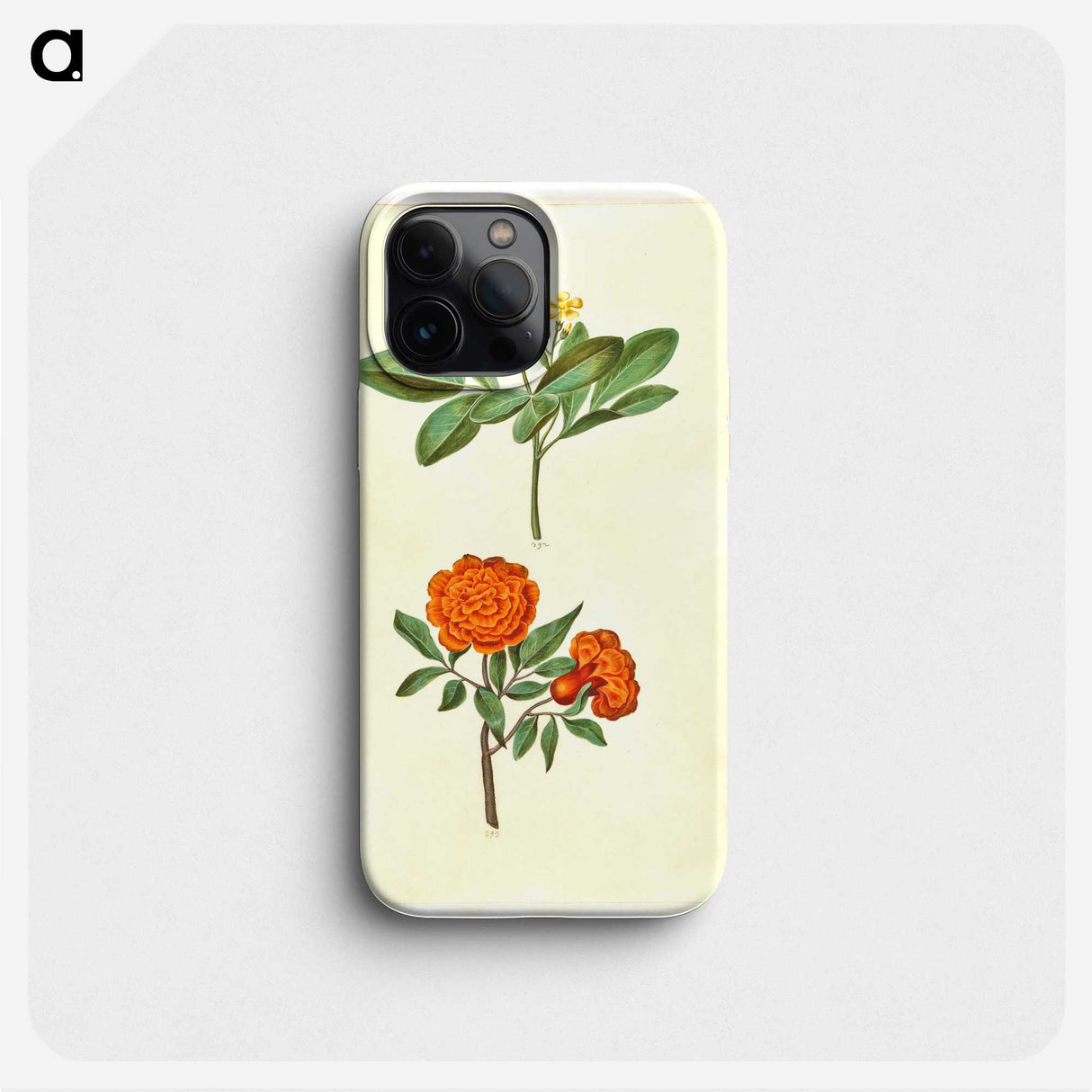 2-42_Maria-Sibylla-Merian_phone