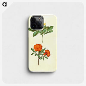 2-42_Maria-Sibylla-Merian_phone