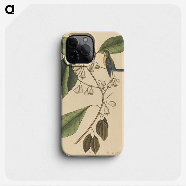 2-42_Mark-Catesby_phone