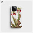 2-42_Mary-Vaux-Walcott_phone
