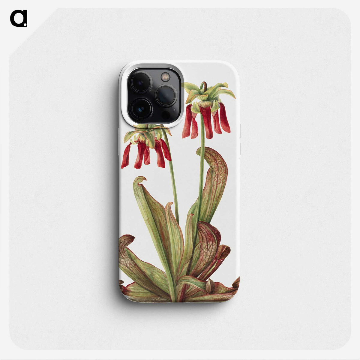 2-42_Mary-Vaux-Walcott_phone