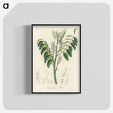 2-42_Medical-Botany_blk-crop