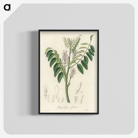 2-42_Medical-Botany_blk-crop
