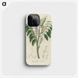 2-42_Medical-Botany_phone