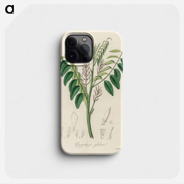 Liquorice (Glycyrrhiza glabra) Illustration
 - 薬用植物学 Phone Case.