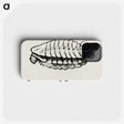 2-42_Moths-and-Butterflies-of-the-United-States_phone
