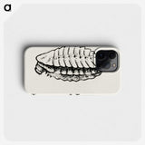 2-42_Moths-and-Butterflies-of-the-United-States_phone