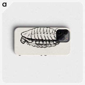 2-42_Moths-and-Butterflies-of-the-United-States_phone