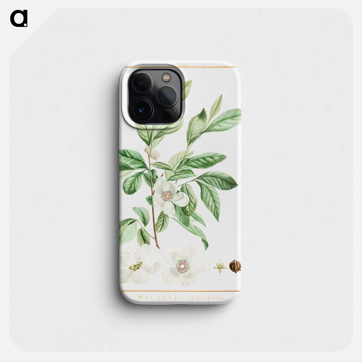 Stuartia Malacodendron - Pierre Joseph Redouté Phone Case.