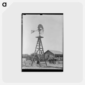 アートポストカード-SMS Ranch Scene
 - ラッセル リー Postcard.