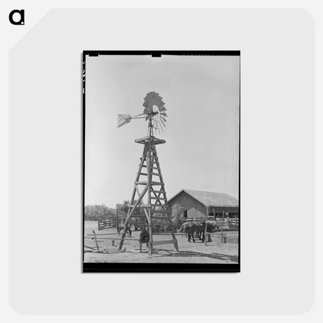アートポストカード-SMS Ranch Scene
 - ラッセル リー Postcard.