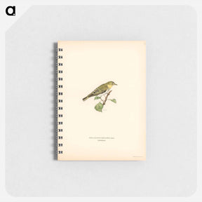 アートメモ帳-Wood Warbler
 - スヴェンスカ フォグラル Memo.