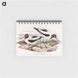 アートメモ帳-Red-necked Avocet
 - オーストラリアの鳥 Memo.