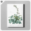 2-42_The-Lilies_canvas