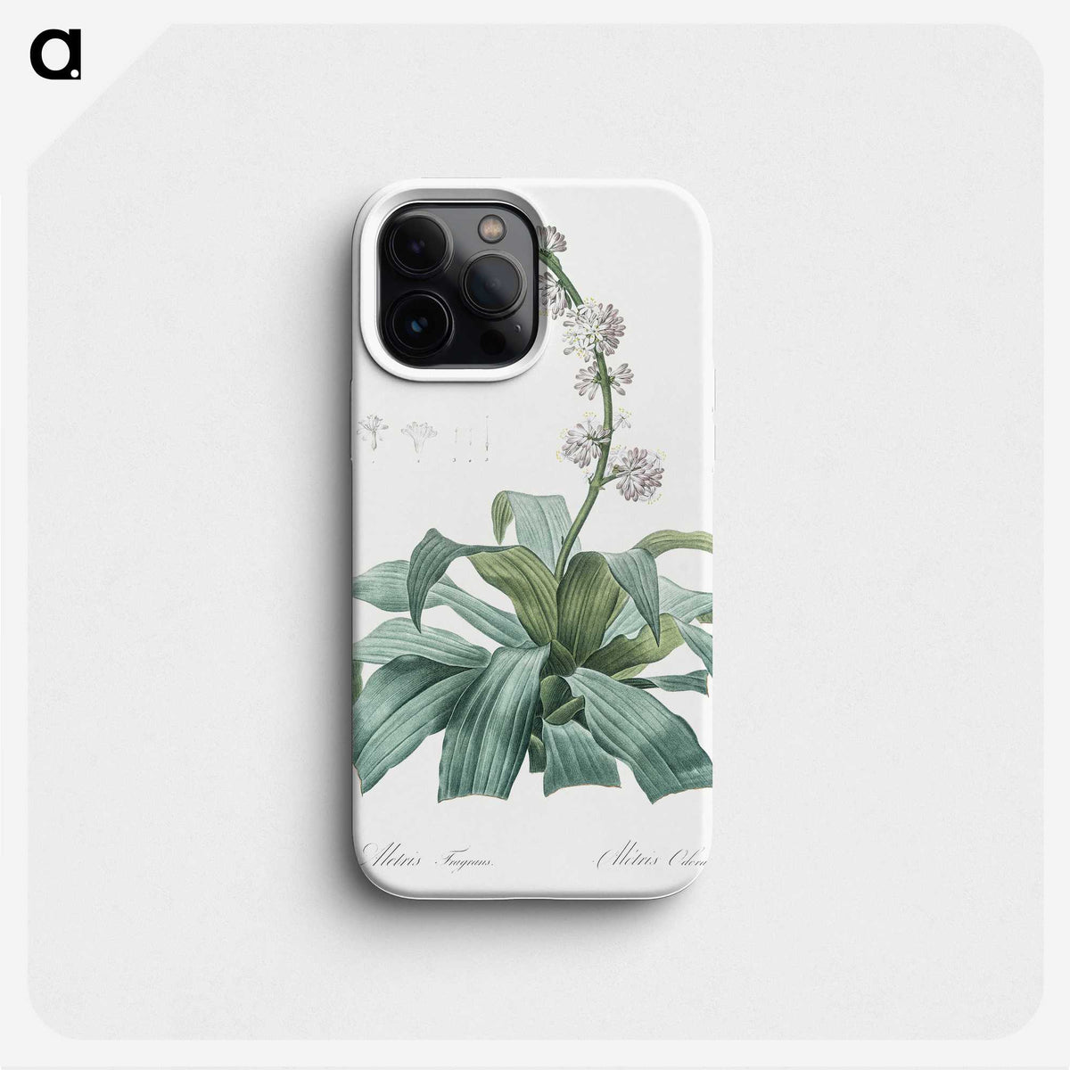 2-42_The-Lilies_phone