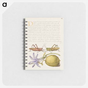 アートメモ帳-Wart Biter, Grasshopper, Hyacinth, and Almond from Mira Calligraphiae Monumenta
 - 書道のお手本 Memo.