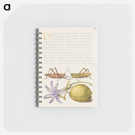アートメモ帳-Wart Biter, Grasshopper, Hyacinth, and Almond from Mira Calligraphiae Monumenta
 - 書道のお手本 Memo.