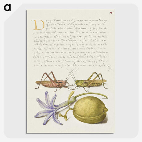 2-42_The-Model-Book-of-Calligraphy_picture-crop